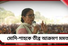 পহেলগাম সামলাতে পারো না, আর বাংলার ভোটে মিলিটারি? মোদি-শাহকে তীব্র আক্রমণ মমতার