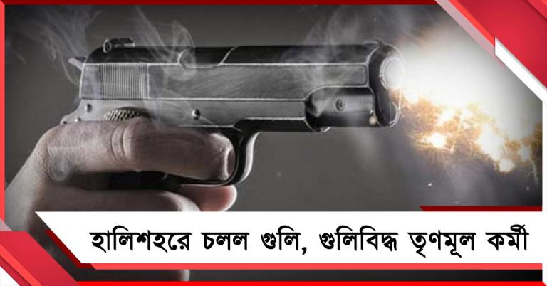 হালিশহরে গুলি চালালো ৬ দুষ্কৃতী: গুলিবিদ্ধ তৃণমূলকর্মী ভর্তি হাসপাতালে