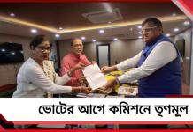 নির্বাচনের আগে টাকার আমদানি থেকে বহিরাগত: তিন দাবিতে কমিশনে তৃণমূল