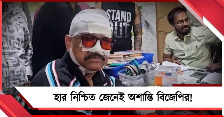 হার নিশ্চিত জেনেই অশান্তি বিজেপির! বেহালায় তৃণমূল নেতা-কর্মীদের মারধরের অভিযোগ