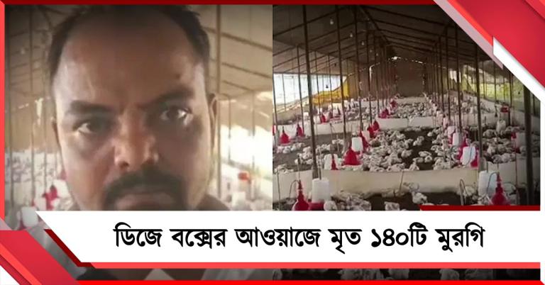নির্মম! যোগীরাজ্যে বিয়ের ডিজে বক্সের আওয়াজে মৃত ১৪০টি মুরগি