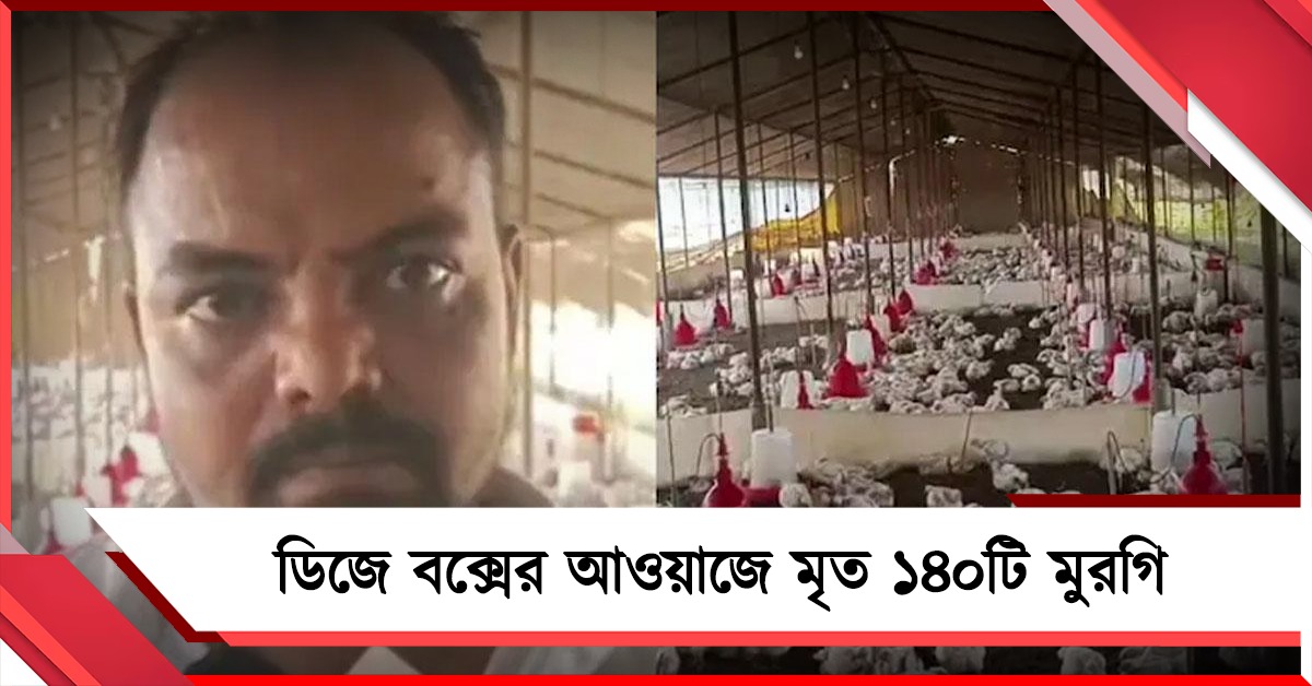 নির্মম! যোগীরাজ্যে বিয়ের ডিজে বক্সের আওয়াজে মৃত ১৪০টি মুরগি