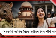 ঘুষের টাকা ইঁদুরের পেটে! সরকারি আধিকারিকে জামিন দিল শীর্ষ আদালত