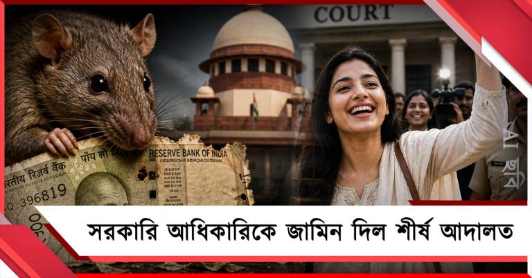 ঘুষের টাকা ইঁদুরের পেটে! সরকারি আধিকারিকে জামিন দিল শীর্ষ আদালত