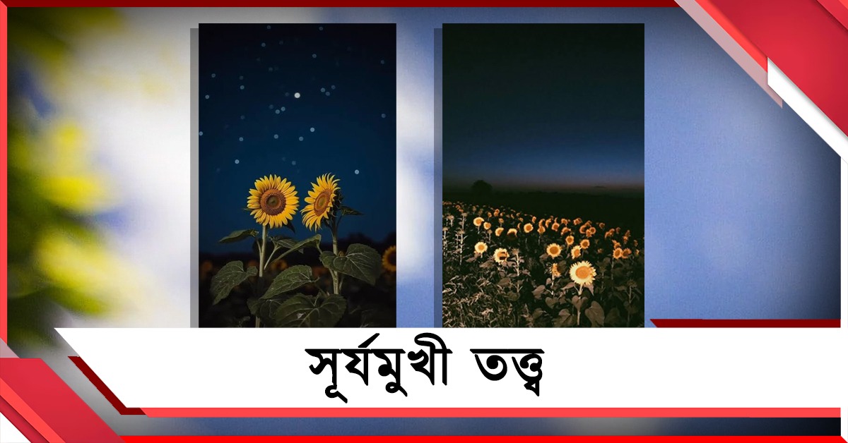 'সূর্যমুখী তত্ত্ব', উৎপল সিনহার কলম 
