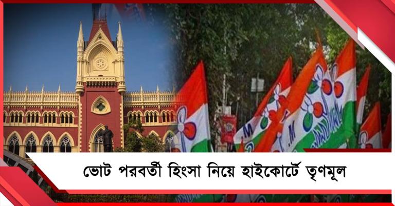 ভোট পরবর্তী হিংসা নিয়ে হাইকোর্টে মামলা তৃণমূলের 