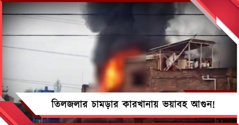 তিলজলার চামড়ার কারখানায় ভয়াবহ আগুন! মৃত ২, আশঙ্কাজনক আরও