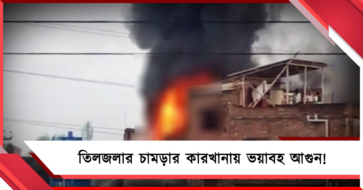 তিলজলার চামড়ার কারখানায় ভয়াবহ আগুন! মৃত ২, আশঙ্কাজনক আরও
