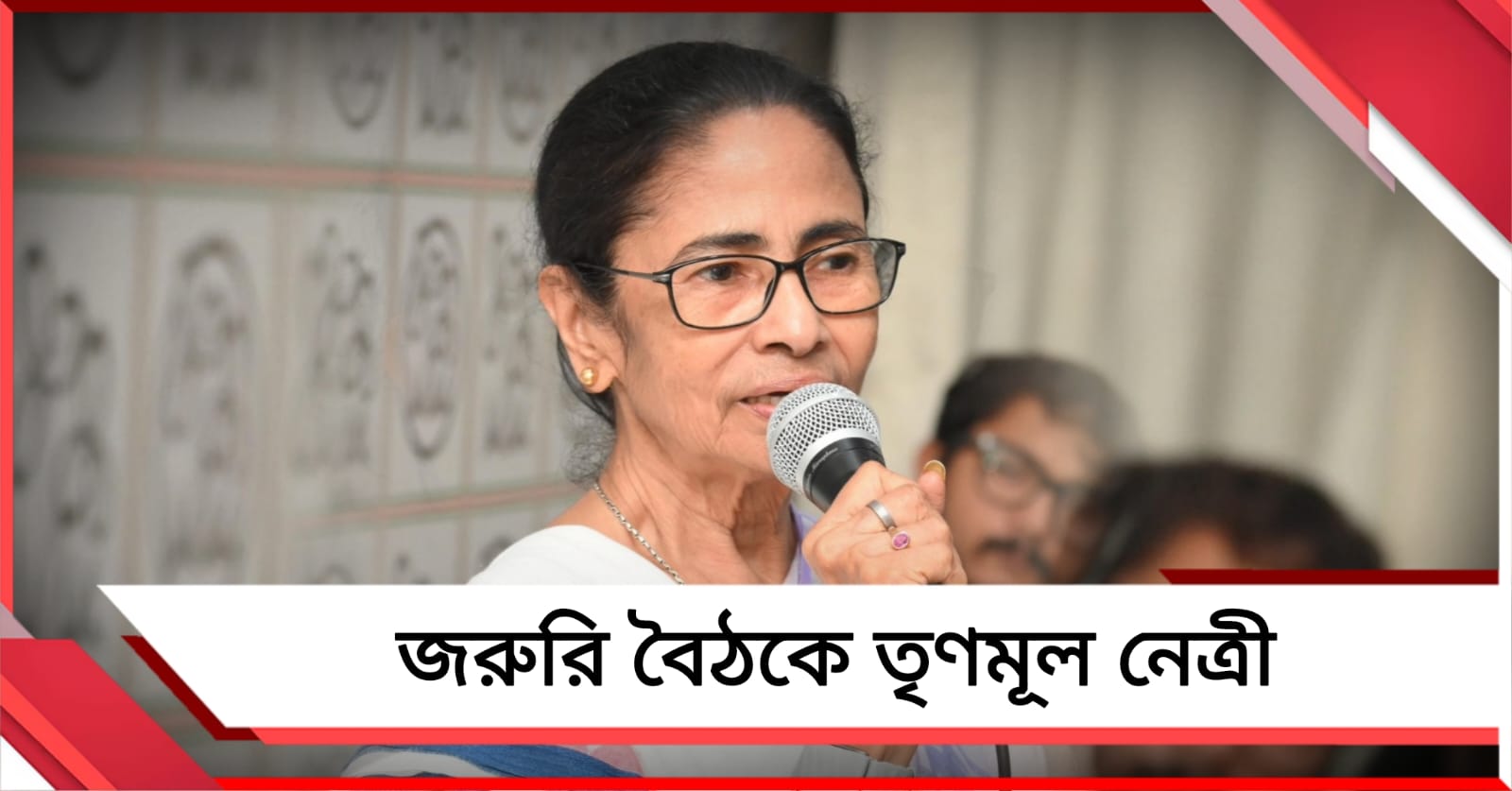 সাংসদ - পরাজিত প্রার্থীদের নিয়ে কালীঘাটে জরুরি বৈঠকে তৃণমূল নেত্রী