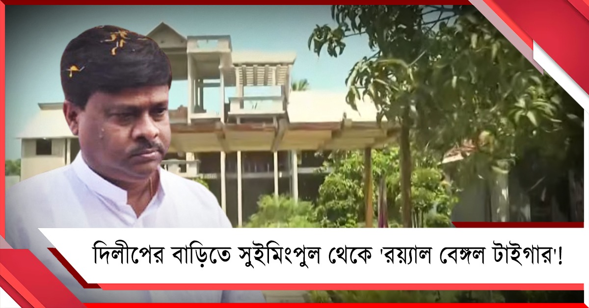 বিশাল সুইমিংপুল থেকে 'রয়্যাল বেঙ্গল টাইগার'! দিলীপের বিলাসবহুল বাড়িতে হানা পুলিশ-কেন্দ্রীয় বাহিনীর