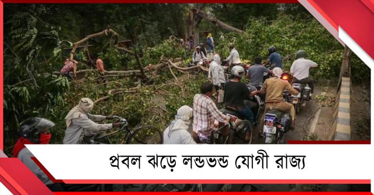 প্রবল ঝড়ে লন্ডভন্ড  উত্তরপ্রদেশ, মৃতের সংখ্যা ছাড়াল শতাধিক