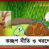‘কচ্ছপ নীতি ও খরগোশ’, উৎপল সিনহার কলম