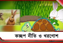 ‘কচ্ছপ নীতি ও খরগোশ’, উৎপল সিনহার কলম