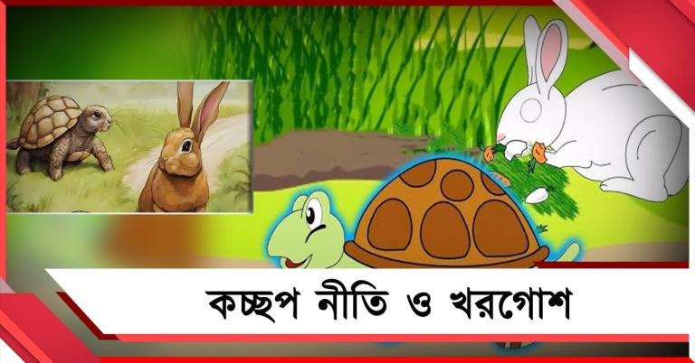 'কচ্ছপ নীতি ও খরগোশ', উৎপল সিনহার কলম 