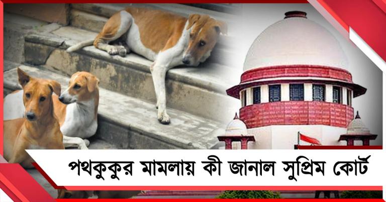 পথকুকুর মামলায় আগের রায় বহাল! নিষ্কৃতিমৃত্যু-র ক্ষেত্রে বিশেষ সুপ্রিম নির্দেশ