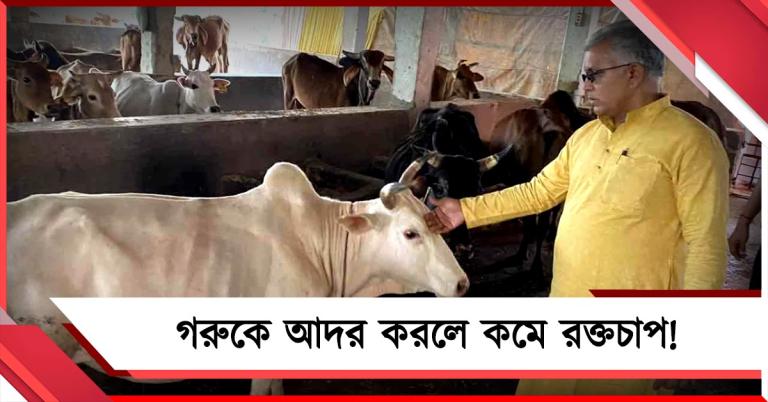 গরুকে আদর করলে কমে রক্তচাপ! ফের বিতর্কিত মন্তব্য দিলীপের