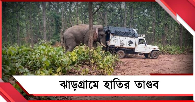 ঝাড়গ্রামে হাতির তাণ্ডব, ২৪ ঘণ্টায় জোড়া মৃত্যু! লোধাশুলিতে বন দফতরের গাড়ি ঠেলল 'রামলাল'