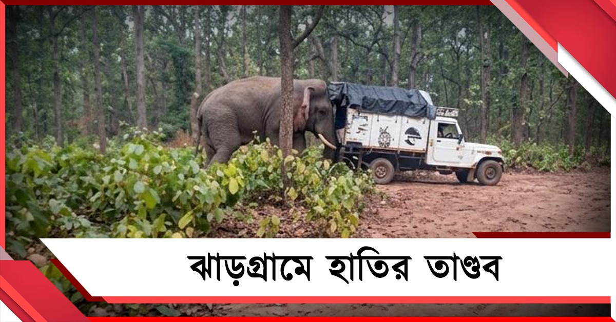 ঝাড়গ্রামে হাতির তাণ্ডব, ২৪ ঘণ্টায় জোড়া মৃত্যু! লোধাশুলিতে বন দফতরের গাড়ি ঠেলল 'রামলাল'