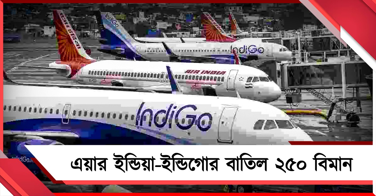 জ্বালানি সংকট চরমে! আগামী দু'মাস দিনে ২৫০ বিমান বাতিল এয়ার ইন্ডিয়া-ইন্ডিগোর