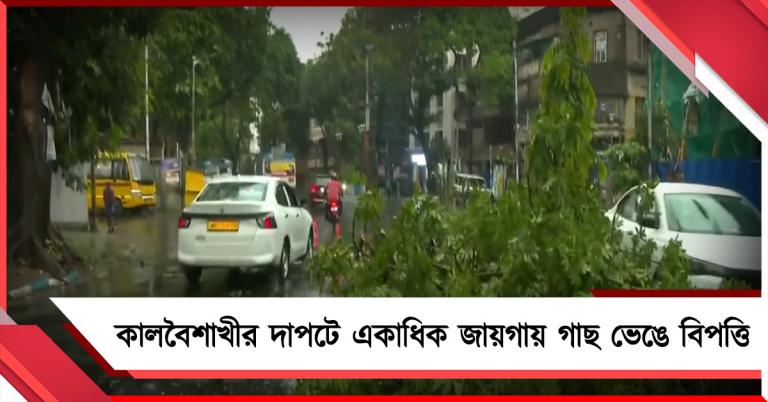 কালবৈশাখীর দাপটে ঝড়-বৃষ্টি, তাপমাত্রা কমলেও কলকাতায় একাধিক জায়গায় গাছ ভেঙে বিপত্তি