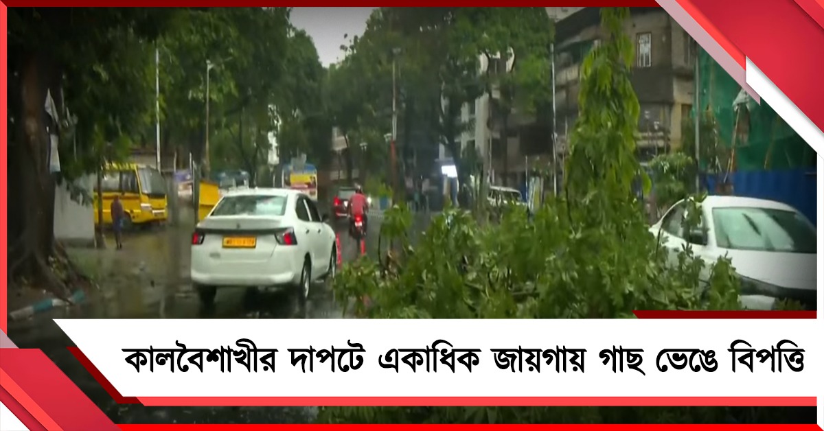 কালবৈশাখীর দাপটে ঝড়-বৃষ্টি, তাপমাত্রা কমলেও কলকাতায় একাধিক জায়গায় গাছ ভেঙে বিপত্তি