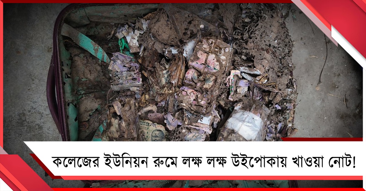 কলেজের ইউনিয়ন রুমে মিলল লক্ষ লক্ষ উইপোকায় খাওয়া নোট!