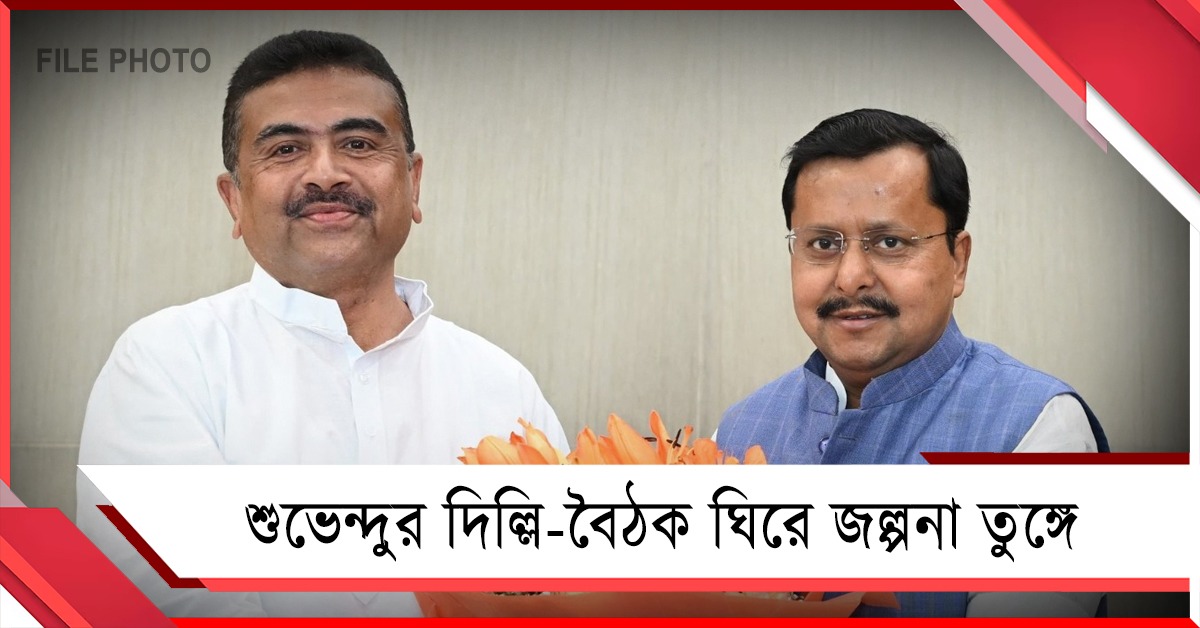 দিল্লিতে দলীয় নেতৃত্বের সঙ্গে দীর্ঘ বৈঠক শুভেন্দুর, কী নিয়ে আলোচনা? জল্পনা তুঙ্গে