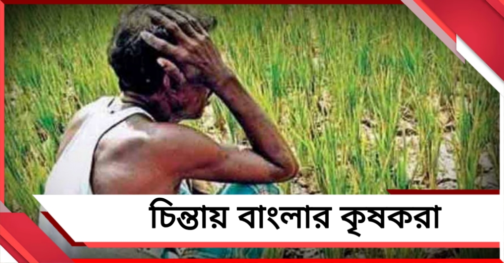 কৃষকবন্ধুর বিদায়! কেন্দ্রের প্রকল্পে কপালে চিন্তার ভাঁজ বাংলার কৃষকদের