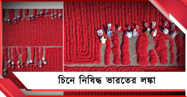 জাপান, নেপালের পরে চিন! নিষিদ্ধ হল ভারতের লাল লঙ্কা