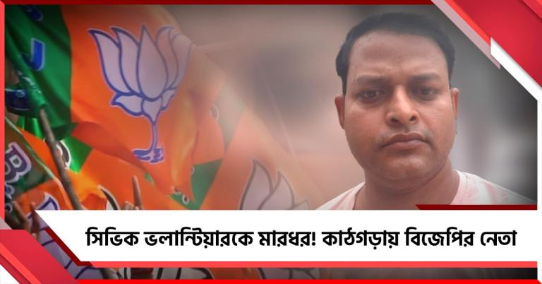 বসিরহাটে সিভিক ভলান্টিয়ারকে মারধর! কাঠগড়ায় বিজেপির নেতা