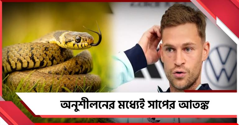 FIFA World Cup: অনুশীলনের সময় মাঠে সাপ! বিরক্ত জার্মান-নরওয়ের শিবির