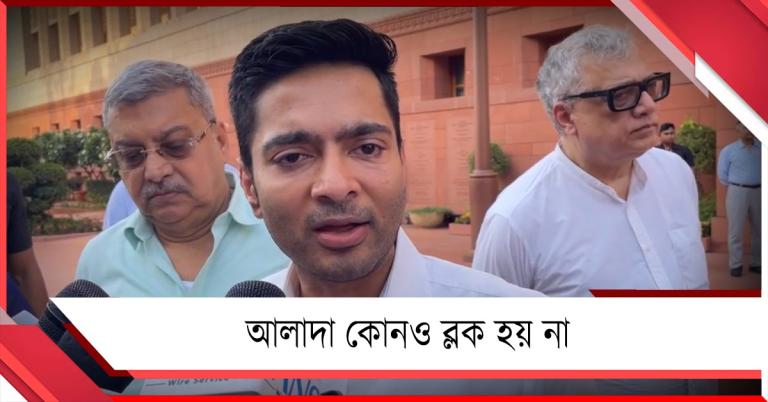 আলাদা কোনও ব্লক হয় না, স্পিকারকে সংবিধান খুলে দেখিয়ে এলেন অভিষেক