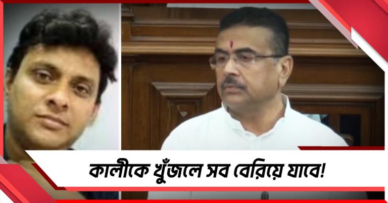 কালীকে খুঁজলে সব বেরিয়ে যাবে! বিধানসভায় কার নাম মুখ্যমন্ত্রীর মুখে