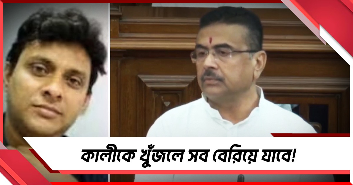 কালীকে খুঁজলে সব বেরিয়ে যাবে! বিধানসভায় কার নাম মুখ্যমন্ত্রীর মুখে