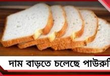দাম বাড়তে চলেছে পাউরুটির! বড় সিদ্ধান্তের পথে একাধিক বেকারি সংস্থা