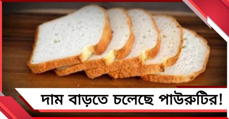 দাম বাড়তে চলেছে পাউরুটির! বড় সিদ্ধান্তের পথে একাধিক বেকারি সংস্থা